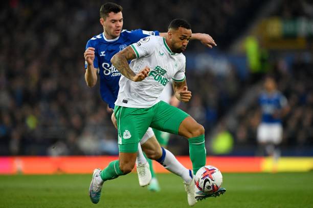 味蕾的胜利 味蕾的胜利